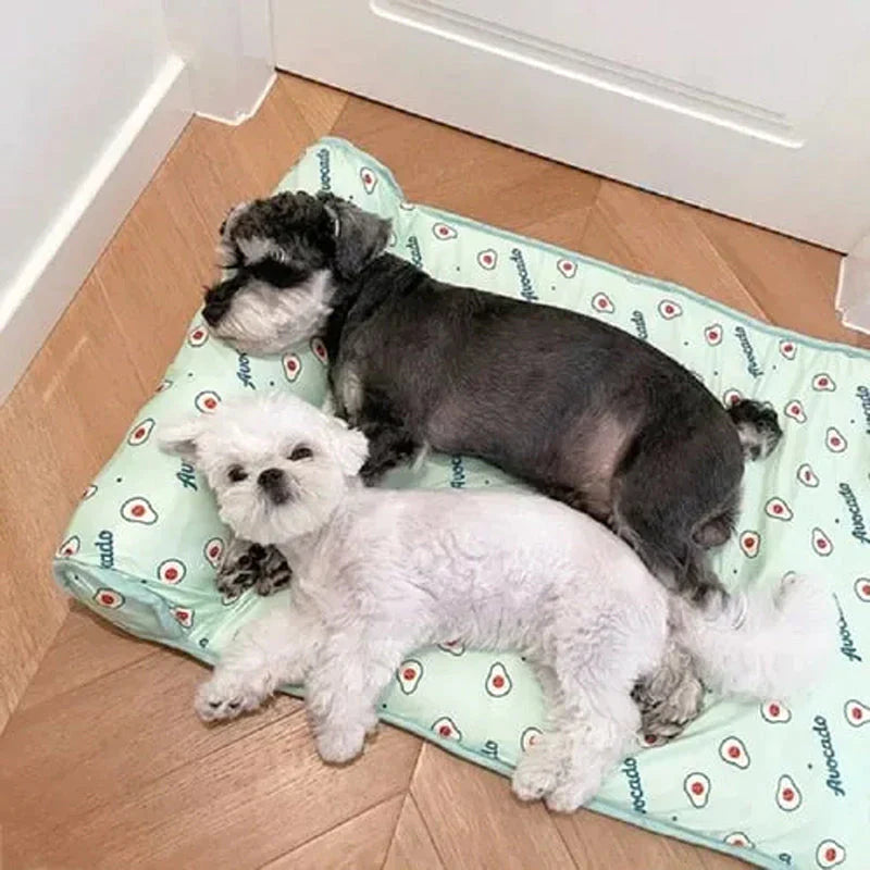 Koelpet | Verkoelende mat voor honden en katten