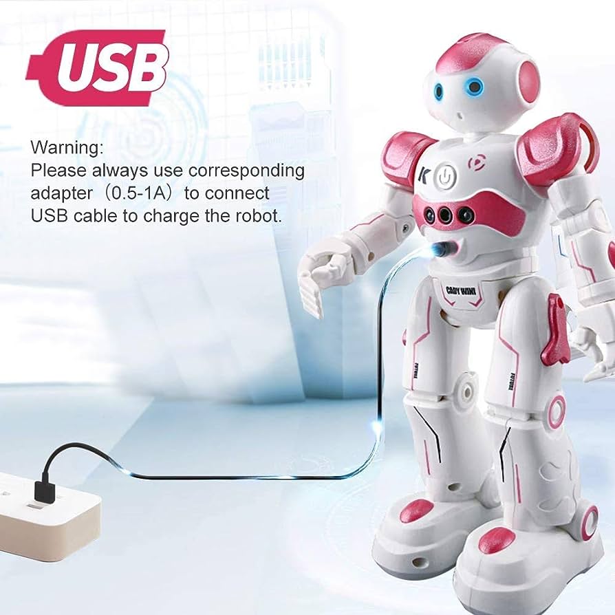 SmartBot | Slimme robot met gebaren herkenning