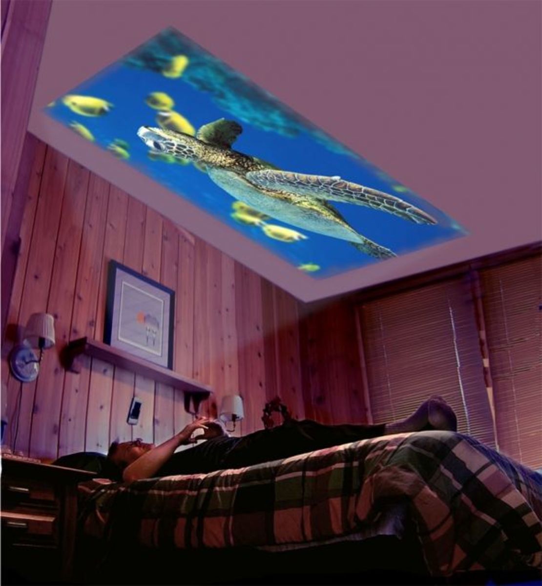 NanoCinema Pro | Mini Projector